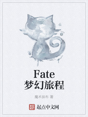 Fate夢幻旅程